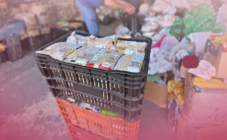 Me Leva Festival edição Americana é destaque por arrecadações de alimentos