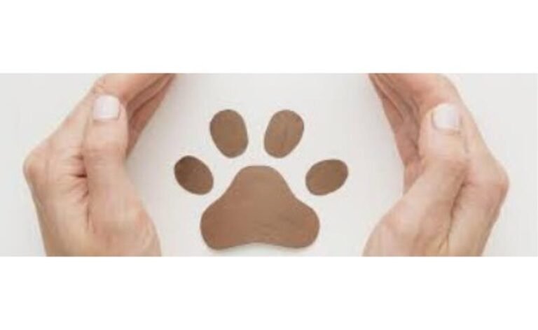 O caso da cadela Kim em Congonhas: uma história com final feliz que serve de alerta para evitar uma tragédia na Aviação Civil