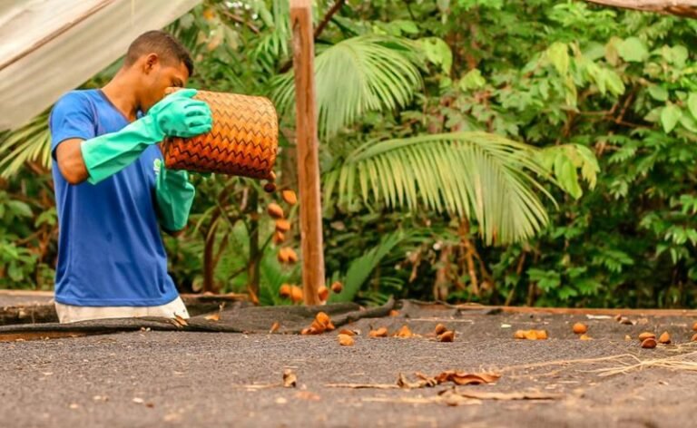 Edital de Apoio a Coletivos da Sociobioeconomia divulga resultado final com cinco iniciativas selecionadas na Amazônia Legal