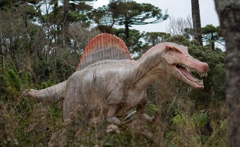 Dos R$ 50 milhões investidos aos 170 mil m²: os números que traduzem o novo parque Terra dos Dinos de Campos do Jordão