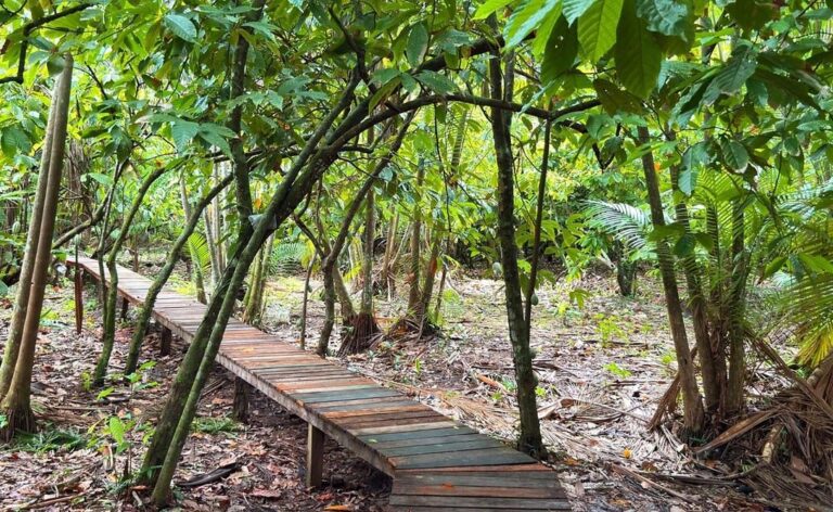 Pesquisa aponta potencial de Rio Branco para liderar inovação na Amazônia