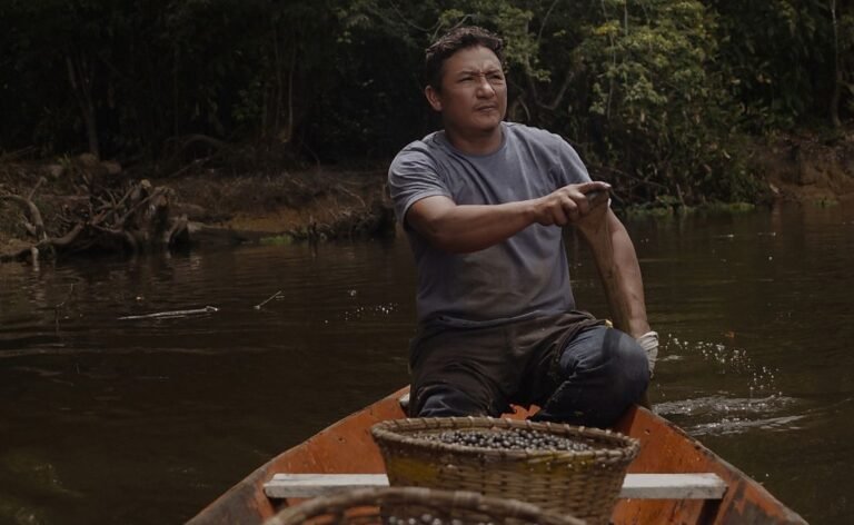 Bioconhecimento e inovação na Amazônia estão conectados? Webinar gratuito abre o diálogo