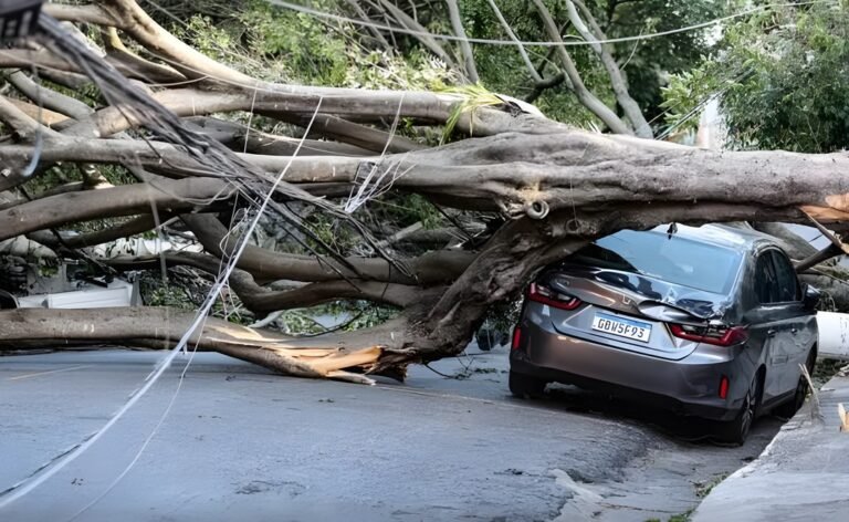 Chuvas devem gerar R$ 38,5 mi em indenizações de veículos em Minas