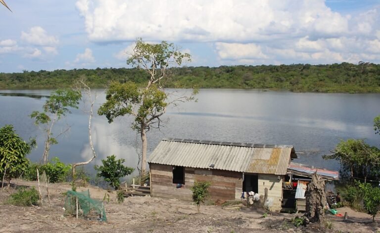 Seis anos após massacres, comunidades amazônicas cobram justiça na CIDH